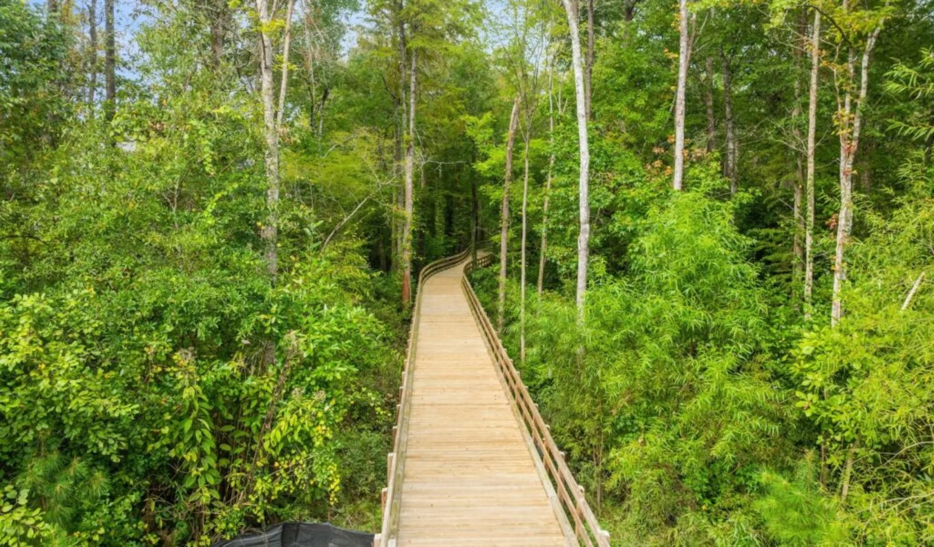 turtle-cove (77)